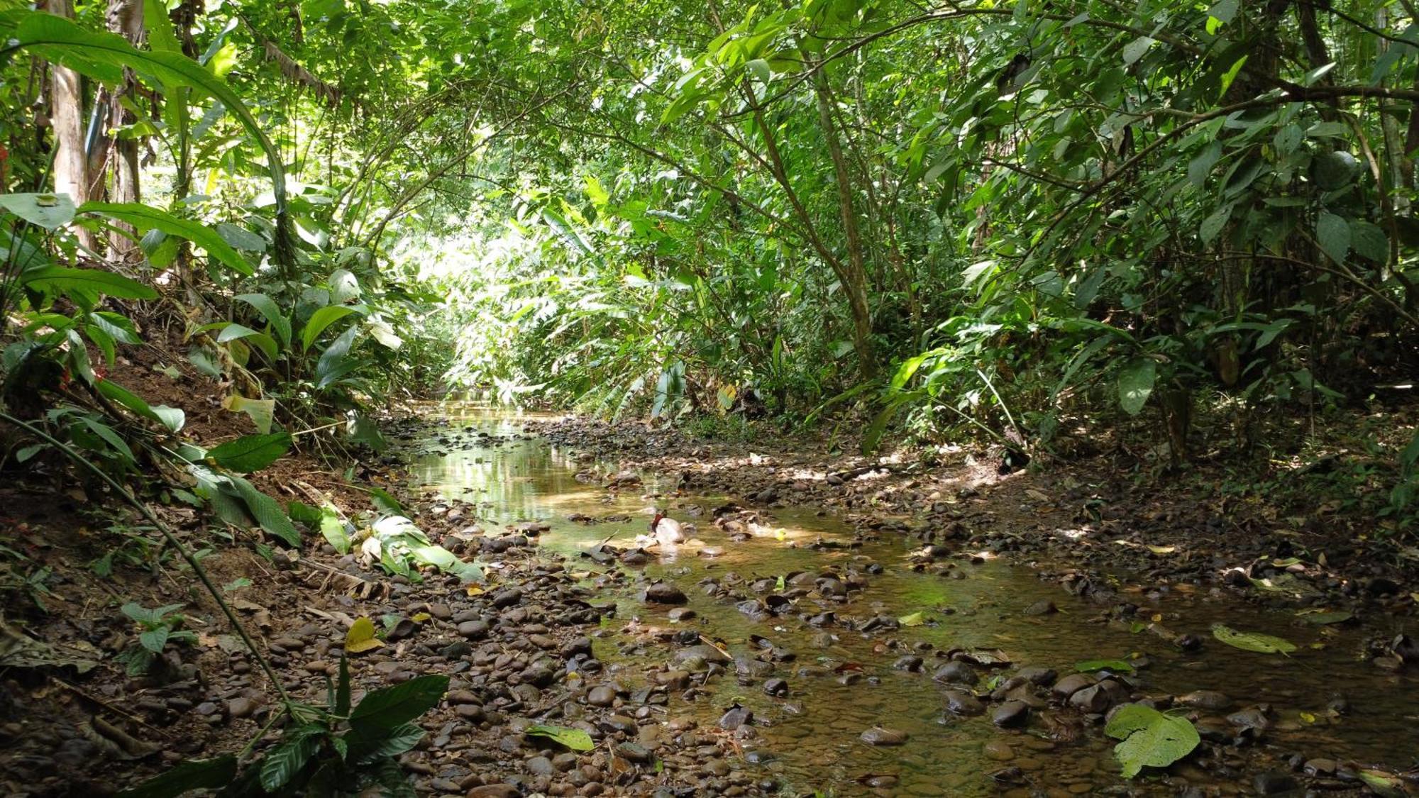 U Sule Villa Cahuita Exterior photo